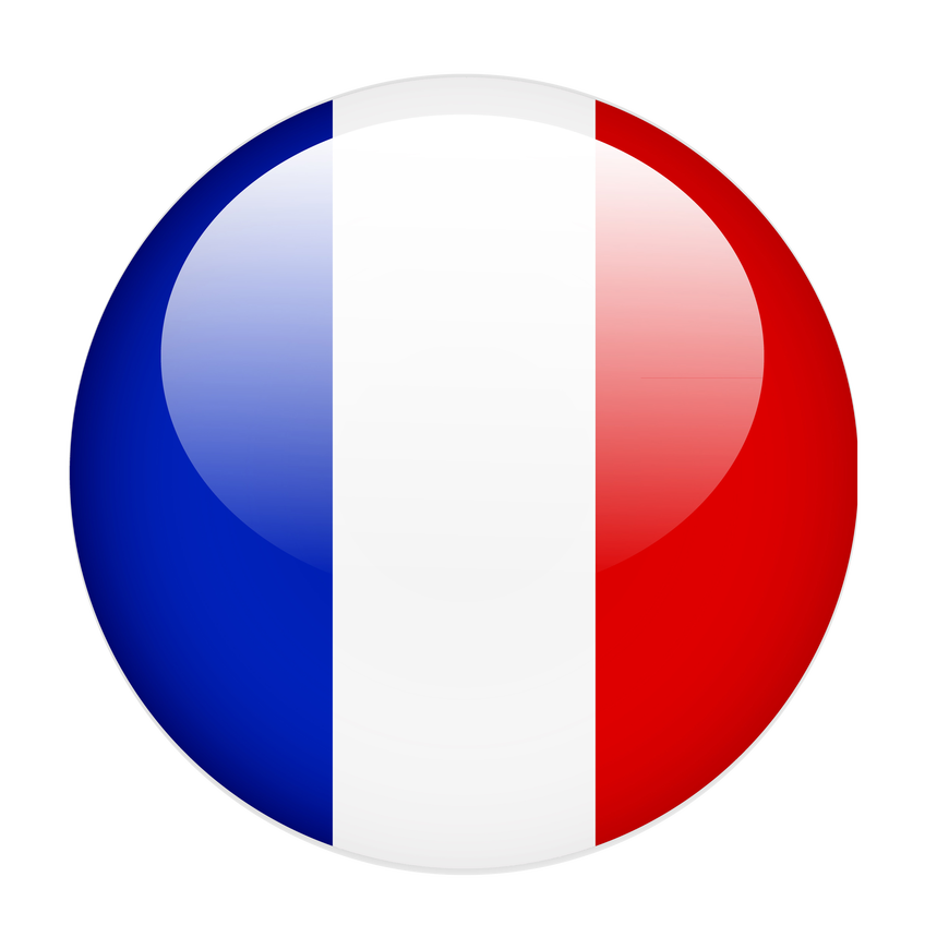 Drapeau français bouton